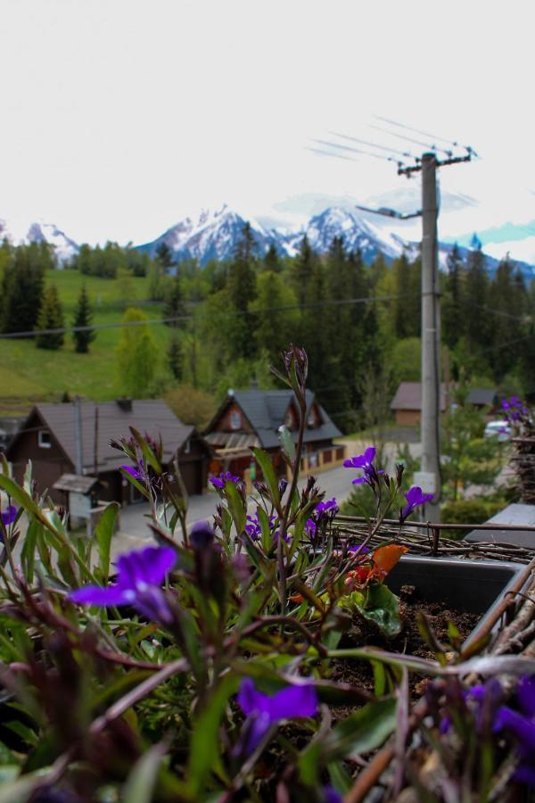 Privat Gazda Pension Ждьяр Экстерьер фото