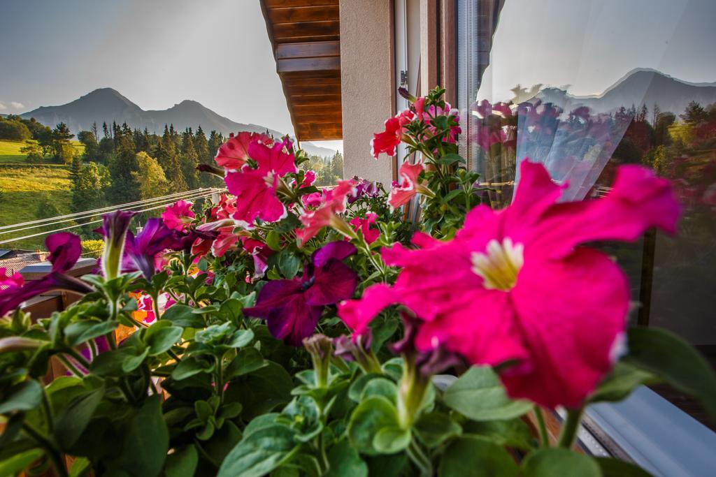 Privat Gazda Pension Ждьяр Экстерьер фото